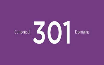 canonical、301、Domains