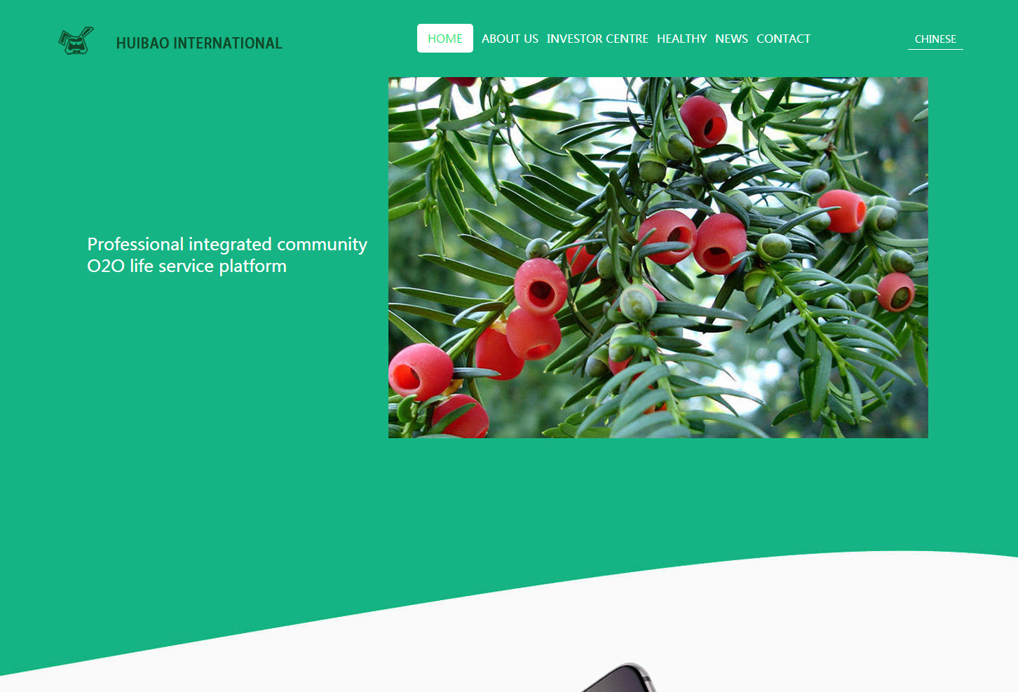 英文網(wǎng)站建設(shè)